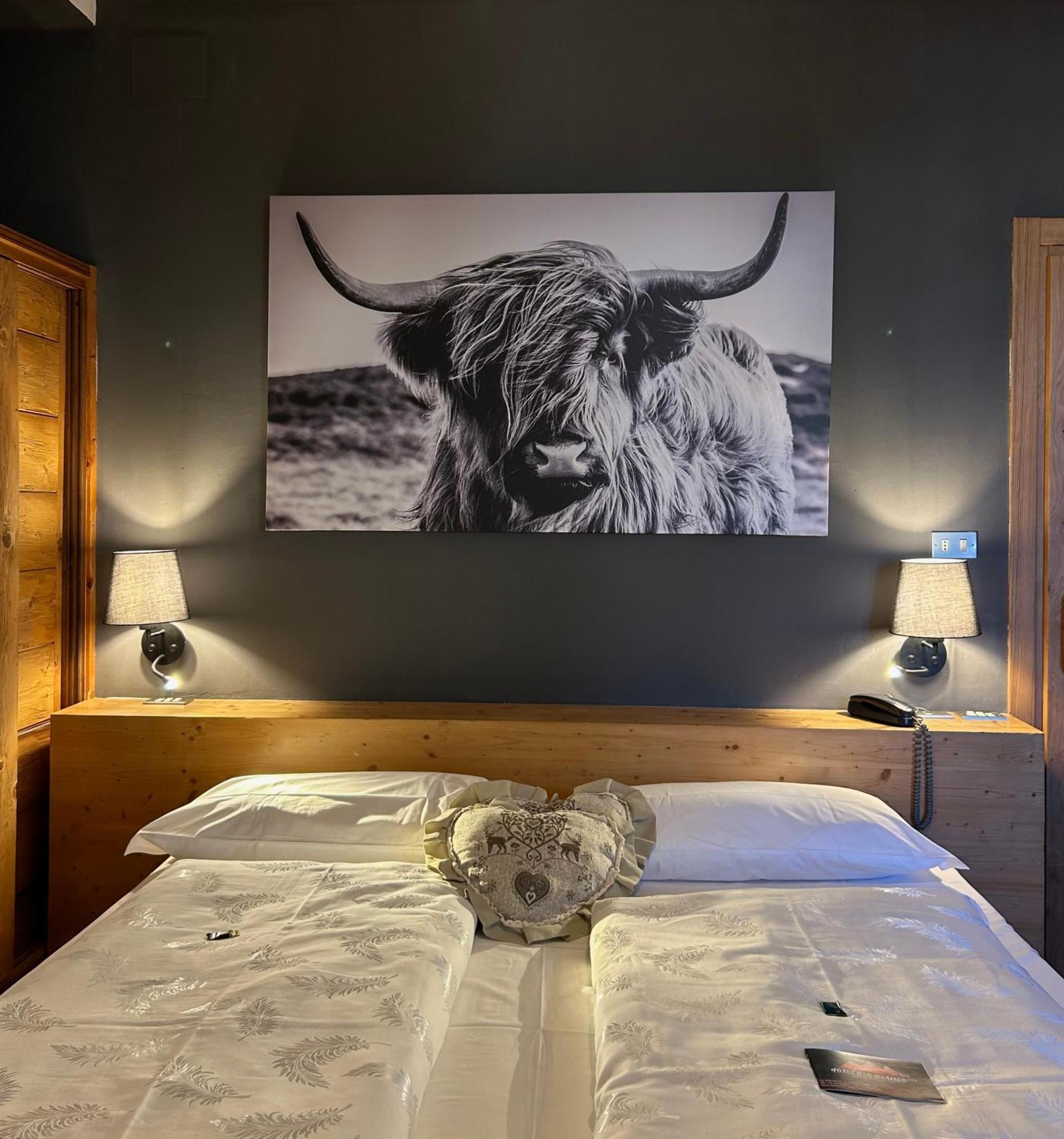 Hotel Rio Bianco Panchia Kültér fotó
